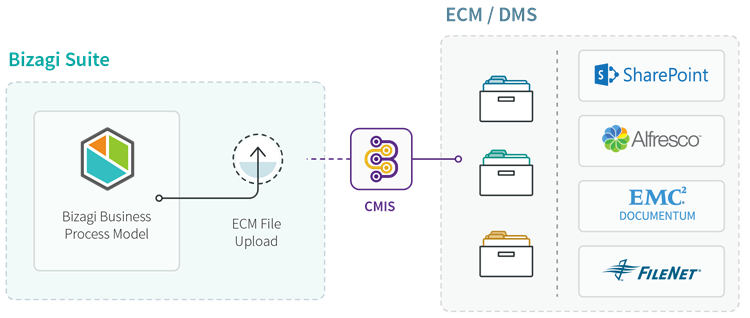 BigPictureECm