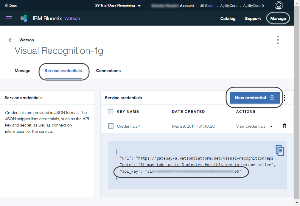 Bluemix_api2